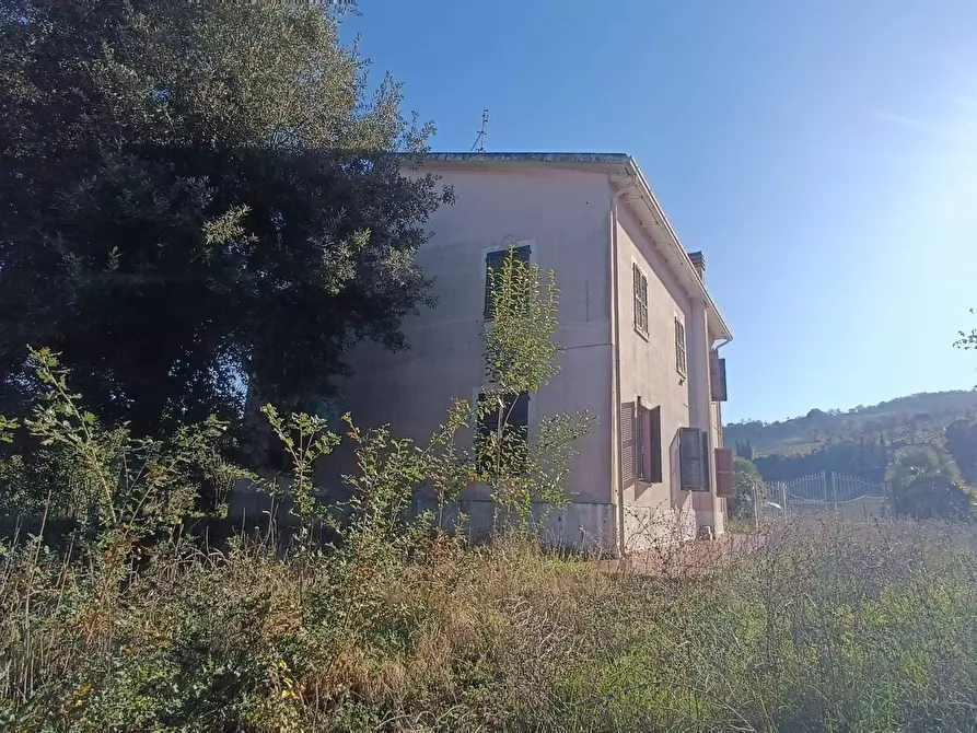 Immagine 47 di Casa indipendente in vendita  in strada provinciale 91 40 a Montefiore Dell'aso