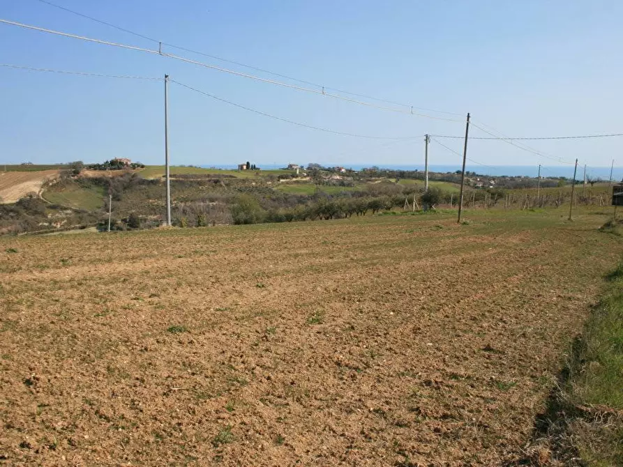 Immagine 1 di Terreno residenziale in vendita  in strada provinciale 58 a Massignano