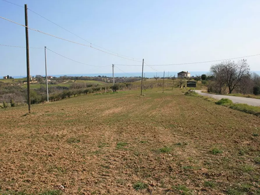 Immagine 3 di Terreno residenziale in vendita  in strada provinciale 58 snc a Massignano