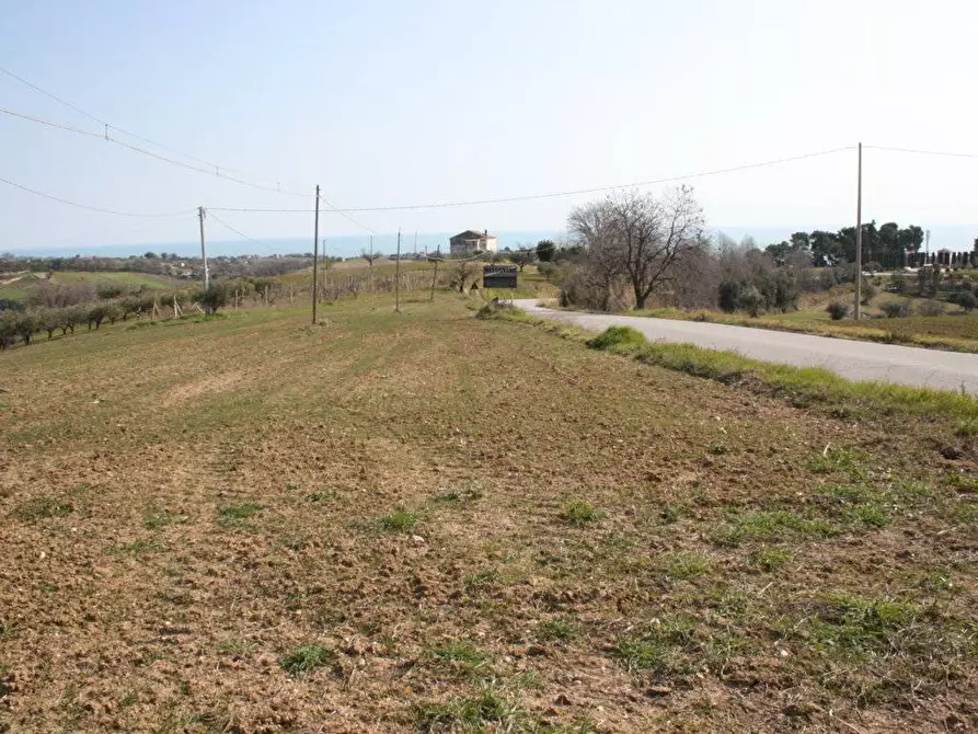 Immagine 4 di Terreno residenziale in vendita  in strada provinciale 58 snc a Massignano