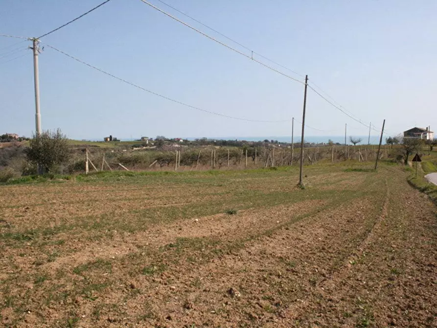 Immagine 5 di Terreno residenziale in vendita  in strada provinciale 58 snc a Massignano