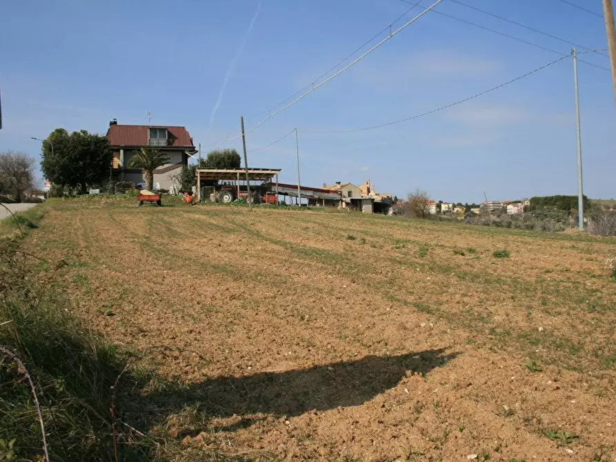 Immagine 6 di Terreno residenziale in vendita  in strada provinciale 58 snc a Massignano