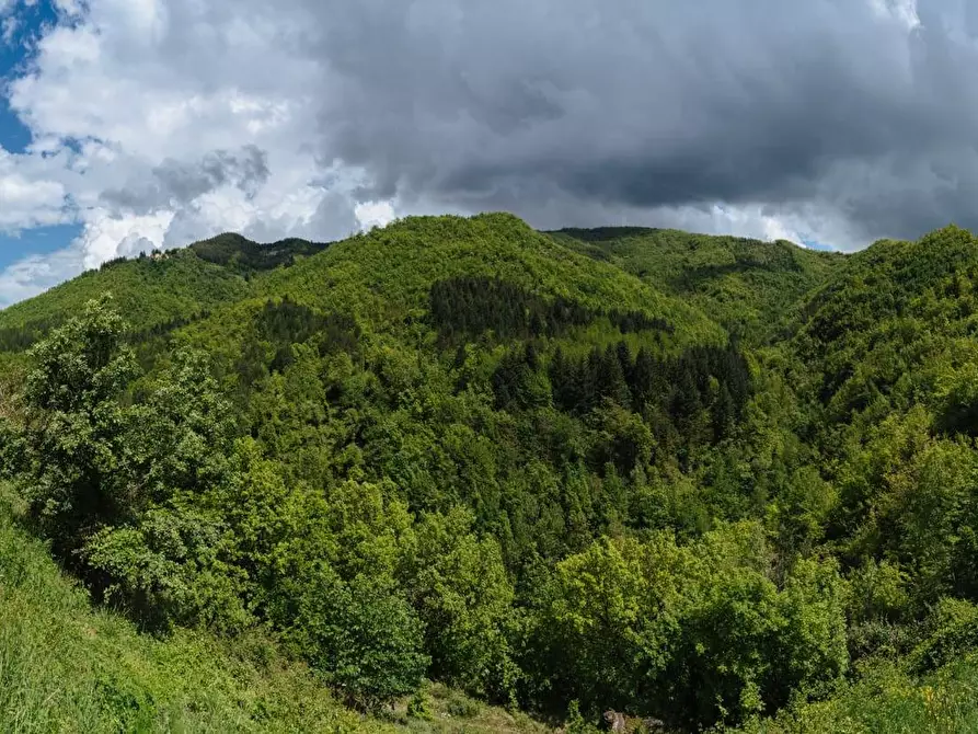 Immagine 15 di Agriturismo in vendita  in vignatico a Valle Castellana