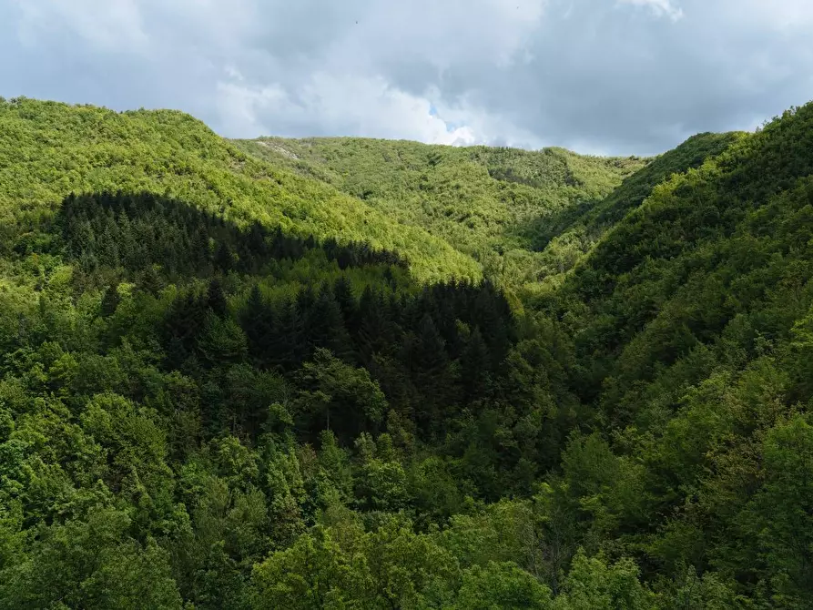 Immagine 27 di Agriturismo in vendita  in vignatico a Valle Castellana