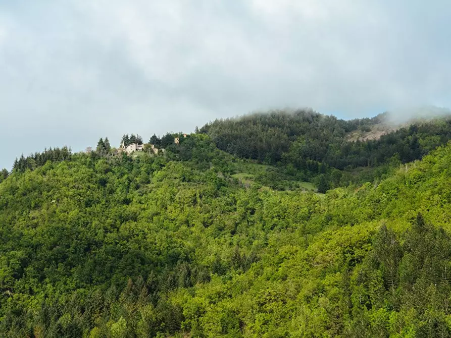 Immagine 34 di Agriturismo in vendita  in vignatico a Valle Castellana