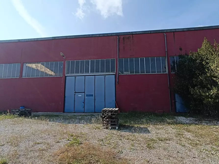 Immagine 29 di Capannone industriale in vendita  in fermi a Acquaviva Picena