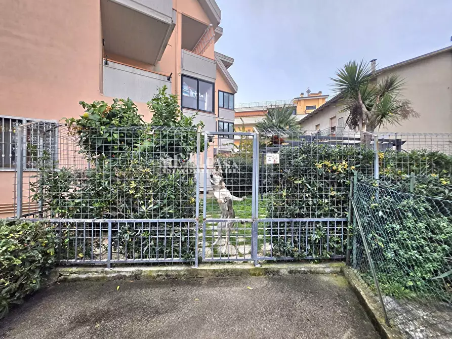 Immagine 22 di Appartamento in vendita  in Via Galileo Galilei 50 a Grottammare