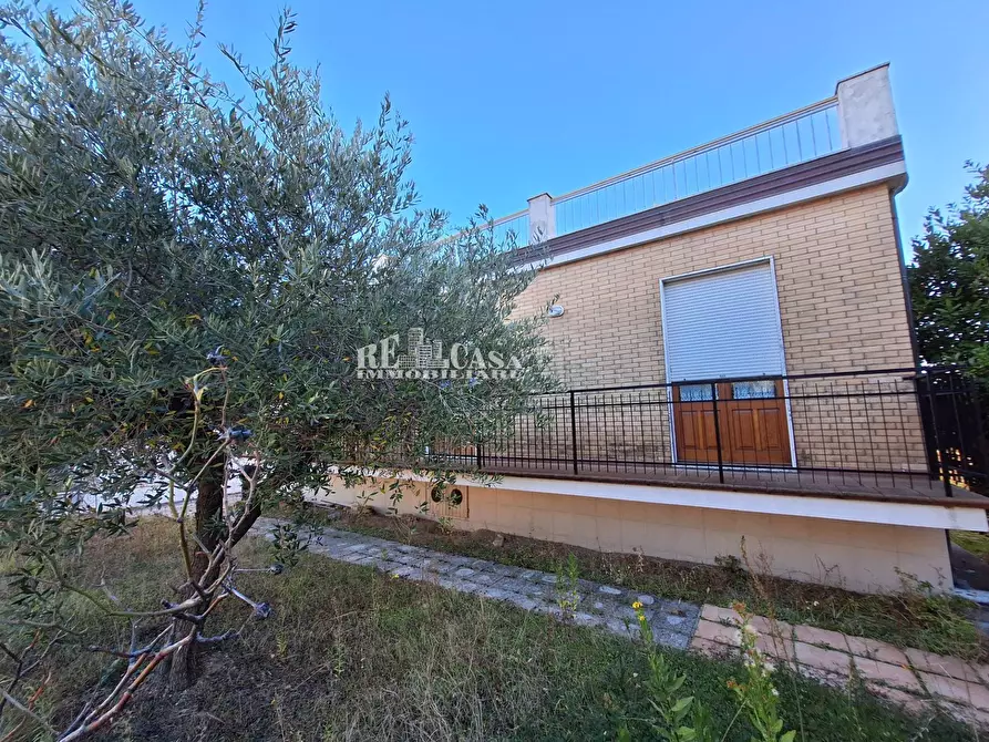 Immagine 33 di Casa indipendente in vendita  in vai gentile da montefiore 15 a Ancarano