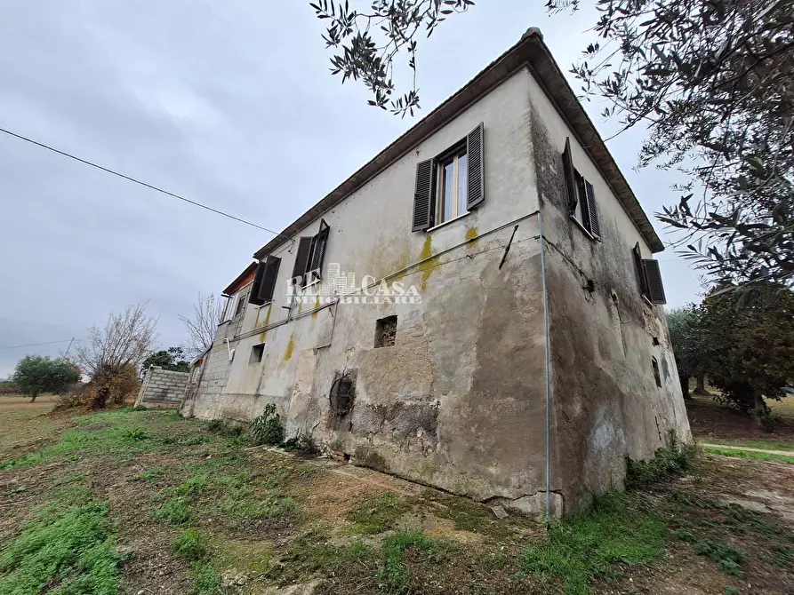 Immagine 7 di Casa indipendente in vendita  in contrada coste tronto snc a Ancarano