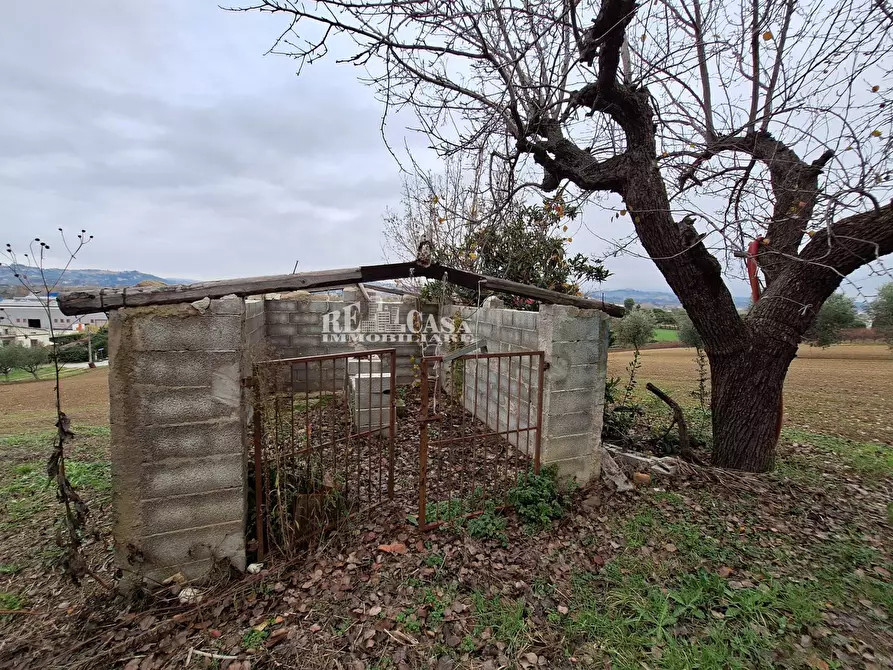 Immagine 12 di Casa indipendente in vendita  in contrada coste tronto snc a Ancarano