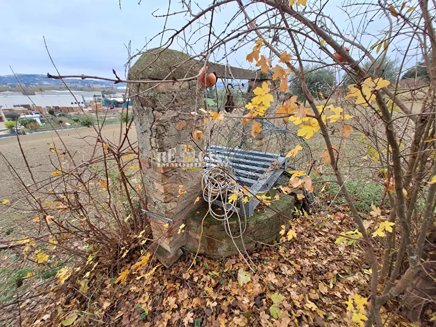 Immagine 14 di Casa indipendente in vendita  in contrada coste tronto snc a Ancarano