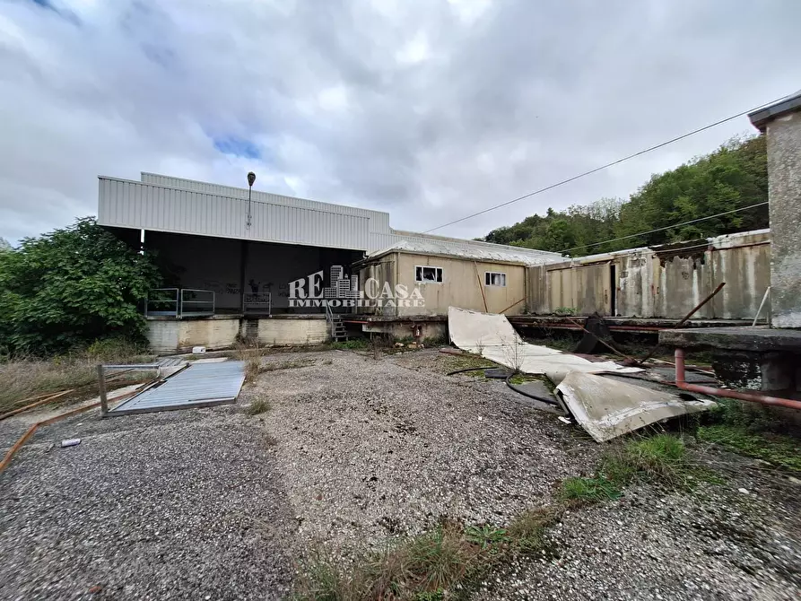 Immagine 3 di Capannone industriale in vendita  in contrada san silvestro 83 a Cupra Marittima