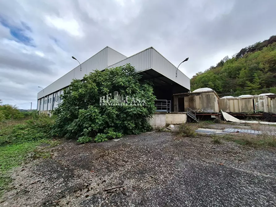 Immagine 4 di Capannone industriale in vendita  in contrada san silvestro 83 a Cupra Marittima