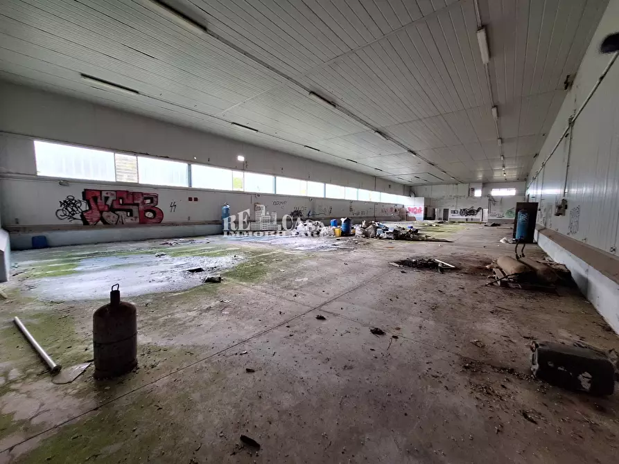 Immagine 7 di Capannone industriale in vendita  in contrada san silvestro 83 a Cupra Marittima