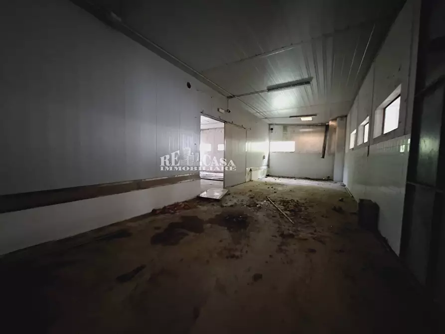 Immagine 10 di Capannone industriale in vendita  in contrada san silvestro 83 a Cupra Marittima
