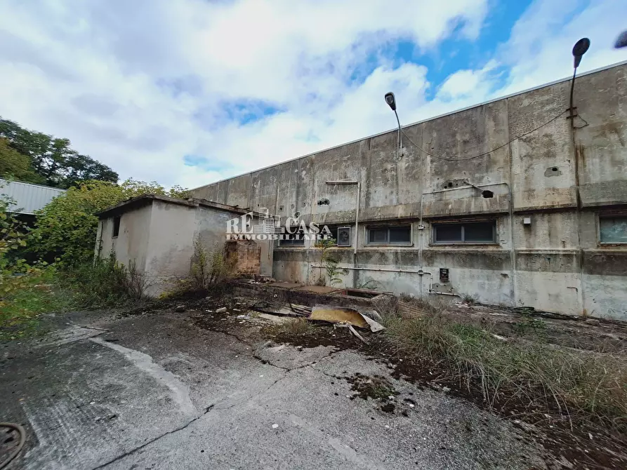 Immagine 13 di Capannone industriale in vendita  in contrada san silvestro 83 a Cupra Marittima