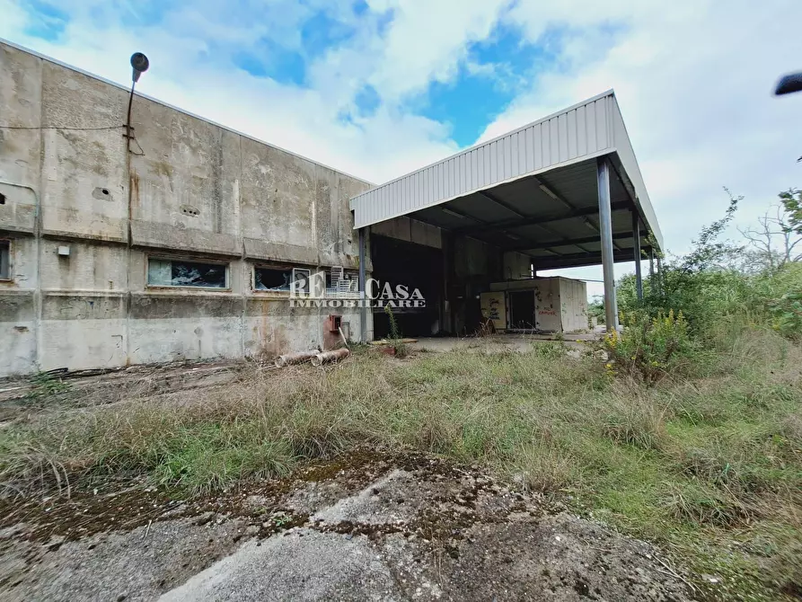 Immagine 14 di Capannone industriale in vendita  in contrada san silvestro 83 a Cupra Marittima