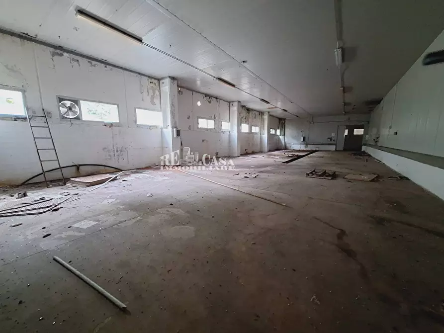 Immagine 16 di Capannone industriale in vendita  in contrada san silvestro 83 a Cupra Marittima