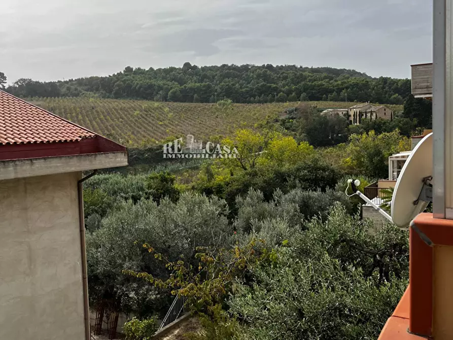 Immagine 45 di Appartamento in vendita  in CONTRADA MONTECANTINO 80 a Massignano
