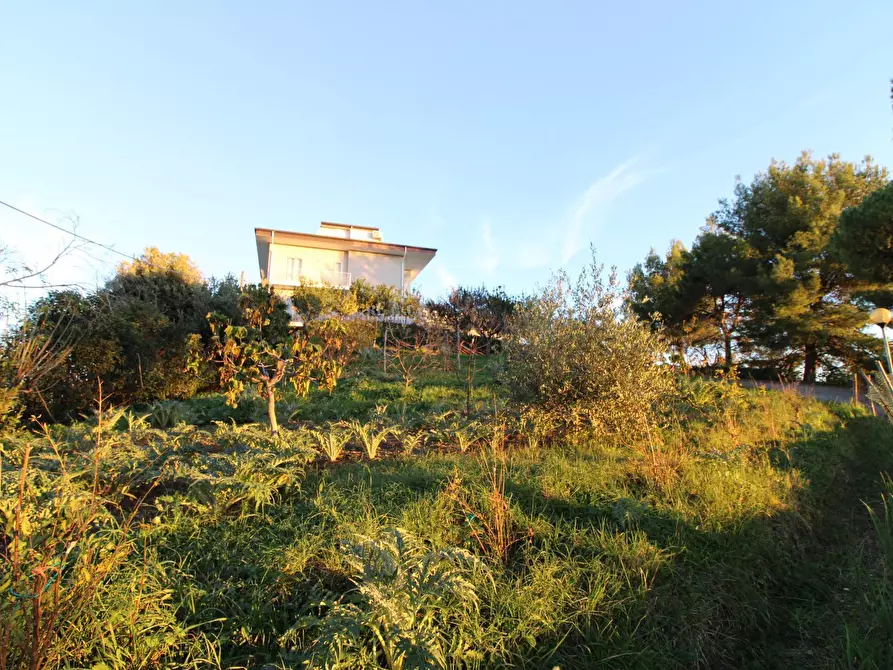 Immagine 2 di Terreno residenziale in vendita  in fonte trufo a Massignano