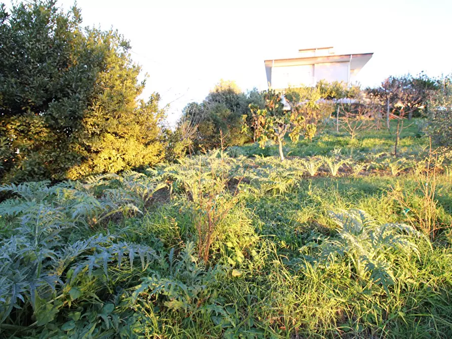 Immagine 3 di Terreno residenziale in vendita  in fonte trufo a Massignano