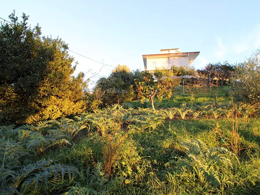 Immagine 4 di Terreno residenziale in vendita  in fonte trufo a Massignano