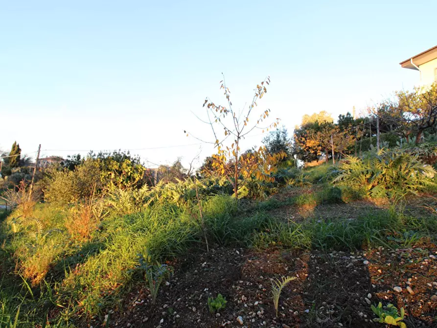 Immagine 5 di Terreno residenziale in vendita  in fonte trufo a Massignano
