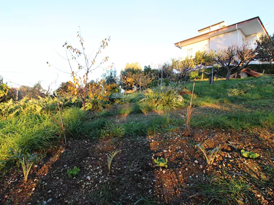 Immagine 6 di Terreno residenziale in vendita  in fonte trufo a Massignano
