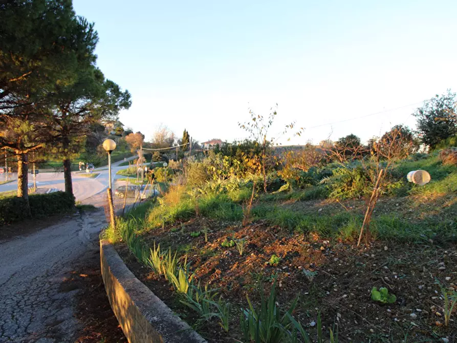 Immagine 7 di Terreno residenziale in vendita  in fonte trufo a Massignano