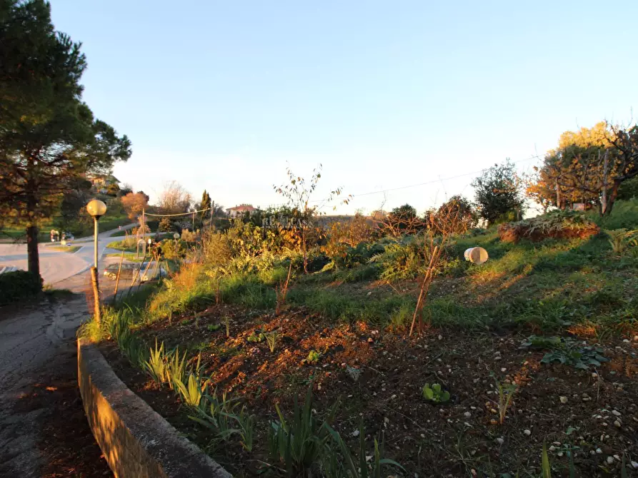 Immagine 8 di Terreno residenziale in vendita  in fonte trufo a Massignano