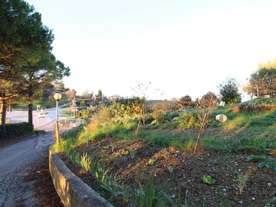 Immagine 9 di Terreno residenziale in vendita  in fonte trufo a Massignano