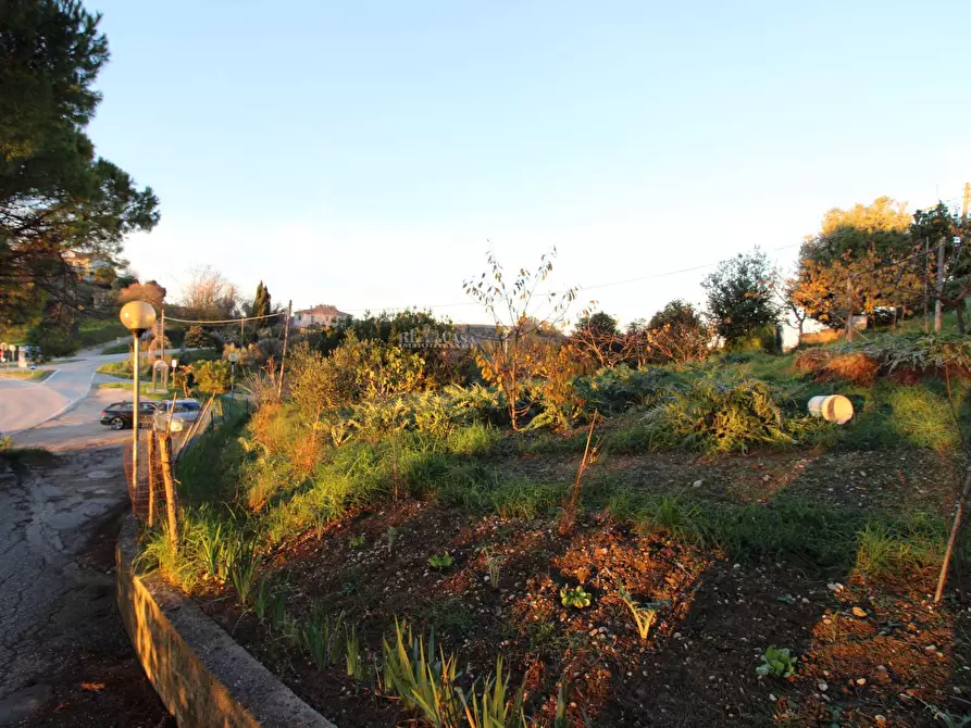 Immagine 11 di Terreno residenziale in vendita  in fonte trufo a Massignano
