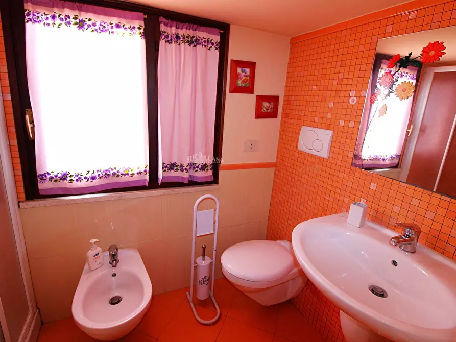 Immagine 11 di Casa indipendente in vendita  in veneto a Massignano