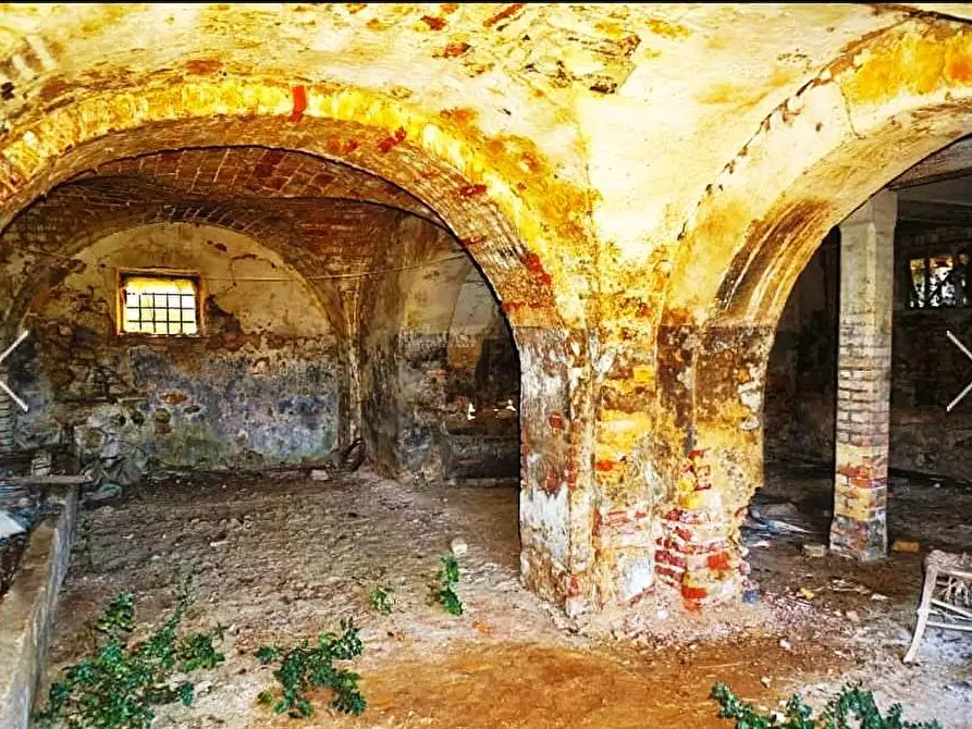 Immagine 27 di Rustico / casale in vendita  in contrada san pietro 42 a Massignano