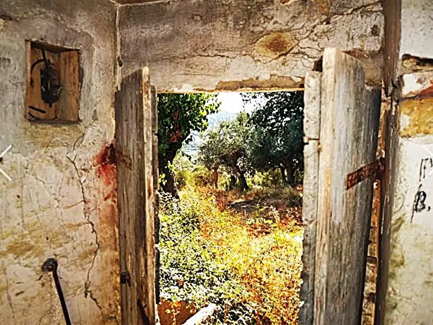 Immagine 31 di Rustico / casale in vendita  in contrada san pietro 42 a Massignano