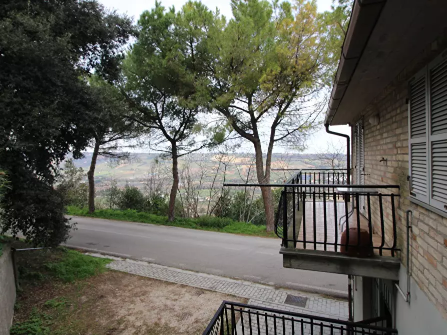 Immagine 9 di Casa indipendente in vendita  in gorizia 9 a Campofilone