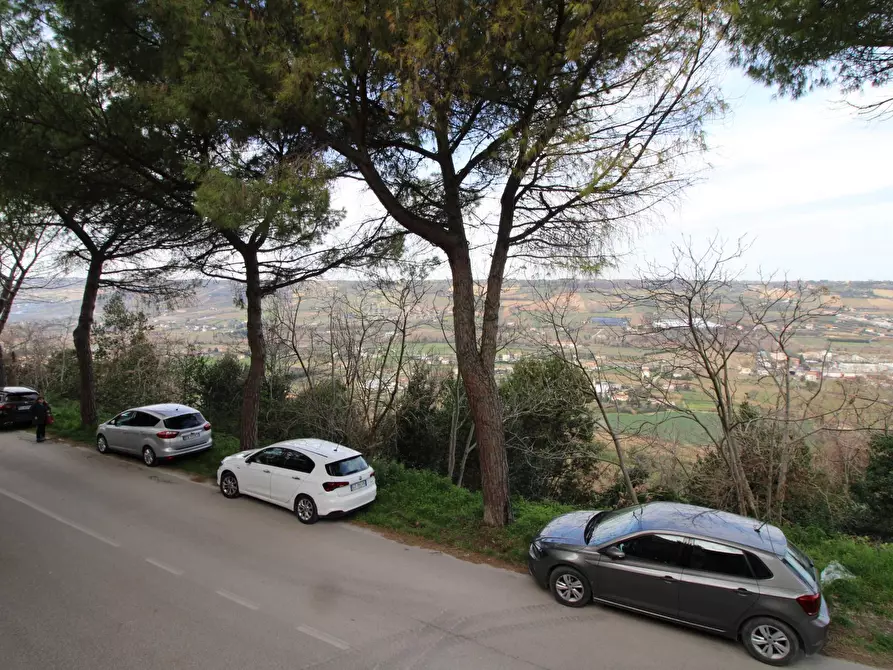 Immagine 32 di Casa indipendente in vendita  in gorizia 9 a Campofilone