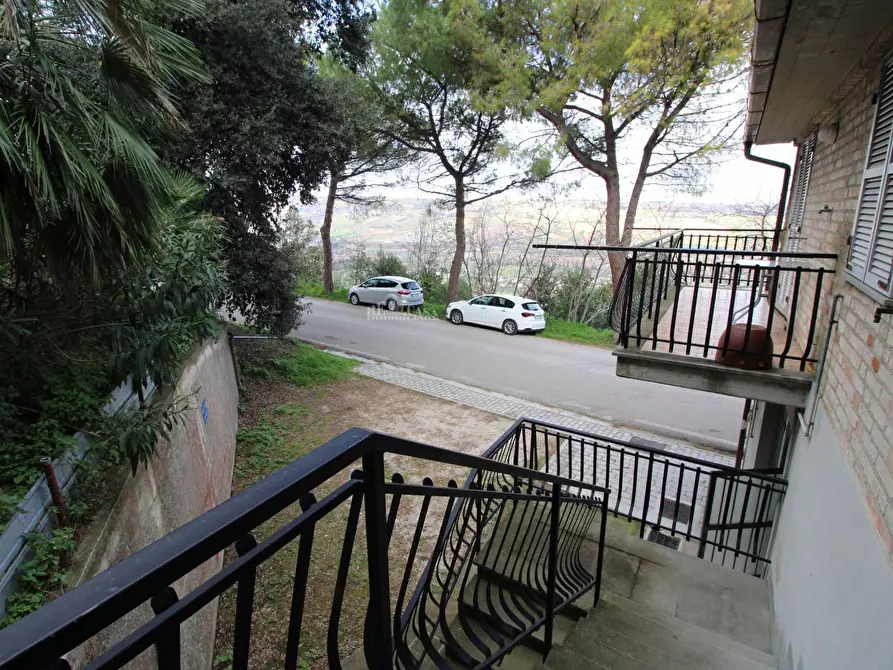 Immagine 33 di Casa indipendente in vendita  in gorizia 9 a Campofilone