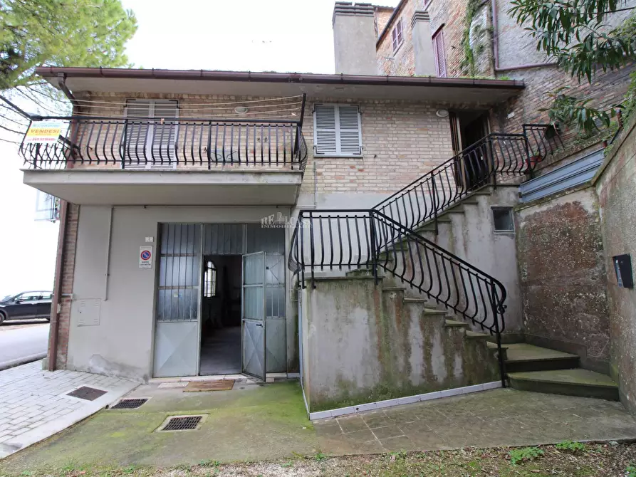 Immagine 4 di Casa indipendente in vendita  in gorizia 9 a Campofilone