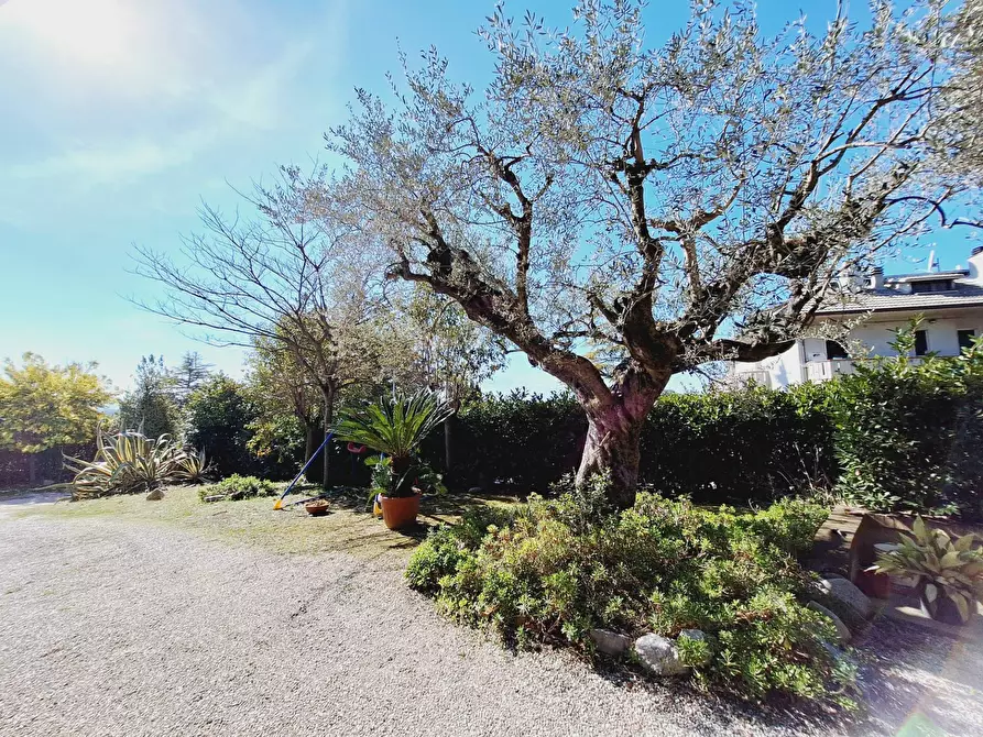 Immagine 37 di Casa indipendente in vendita  in via dell'olmo a Castorano
