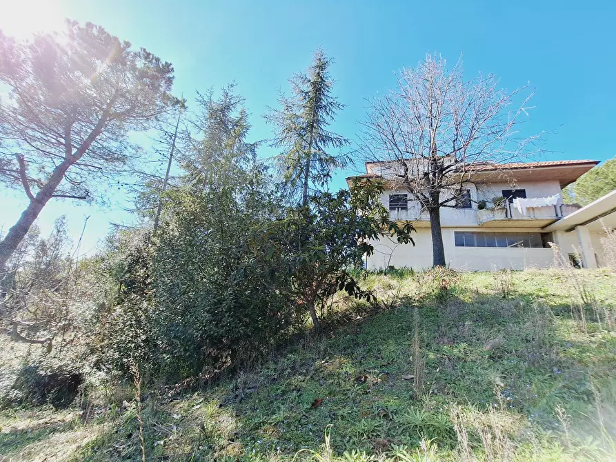 Immagine 41 di Casa indipendente in vendita  in via dell'olmo a Castorano