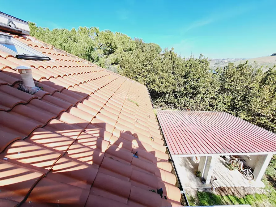 Immagine 46 di Casa indipendente in vendita  in via dell'olmo a Castorano