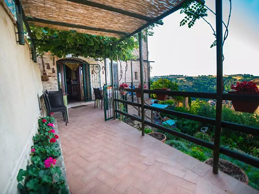 Immagine 32 di Albergo/B&B/Residence in vendita  in via castello 55 a Cupra Marittima