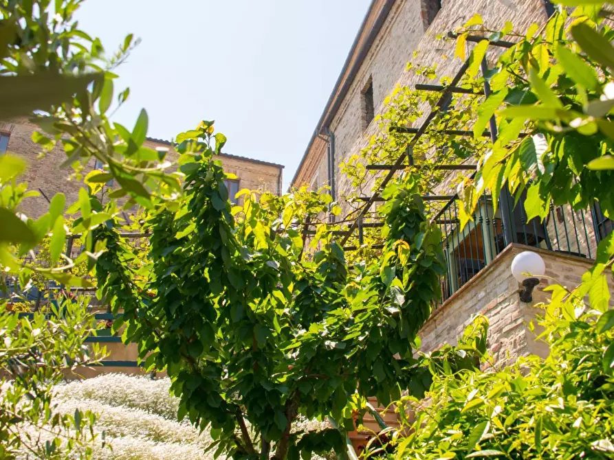 Immagine 34 di Albergo/B&B/Residence in vendita  in via castello 55 a Cupra Marittima