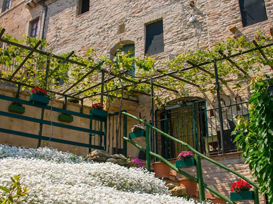 Immagine 37 di Albergo/B&B/Residence in vendita  in via castello 55 a Cupra Marittima