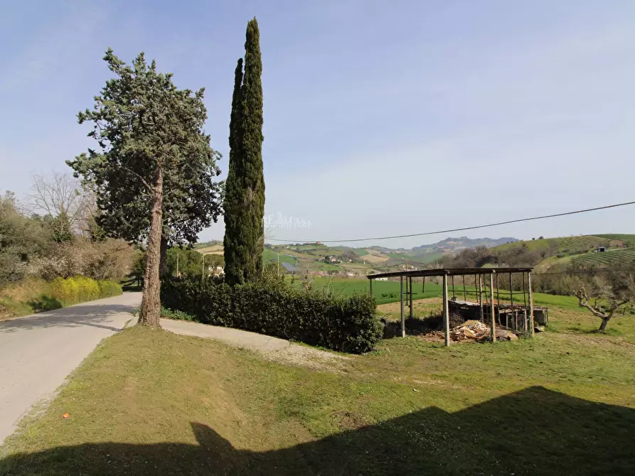 Immagine 42 di Casa indipendente in vendita  in contrada tesino 45 a Offida