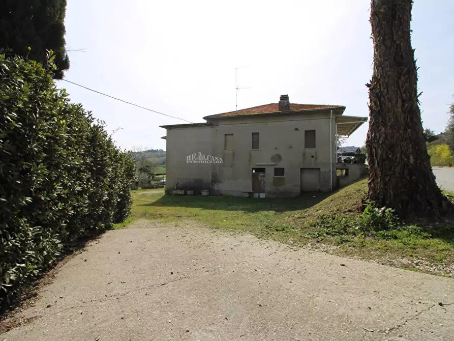 Immagine 46 di Casa indipendente in vendita  in contrada tesino 45 a Offida