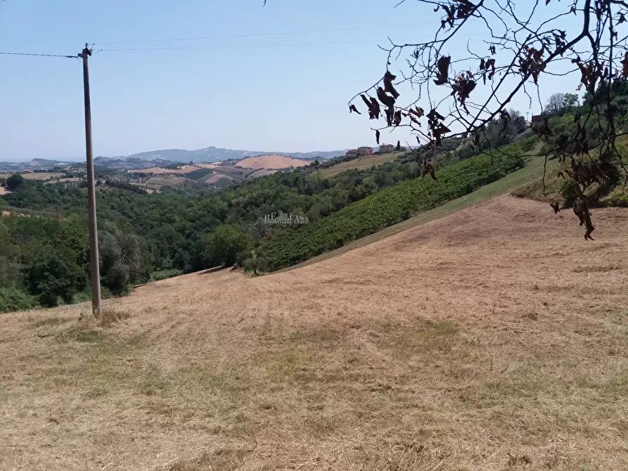 Immagine 47 di Casa indipendente in vendita  in Contrada rocchetta snc a Castorano