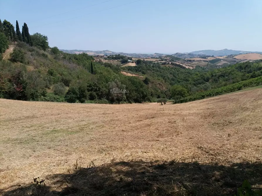 Immagine 53 di Casa indipendente in vendita  in Contrada rocchetta snc a Castorano