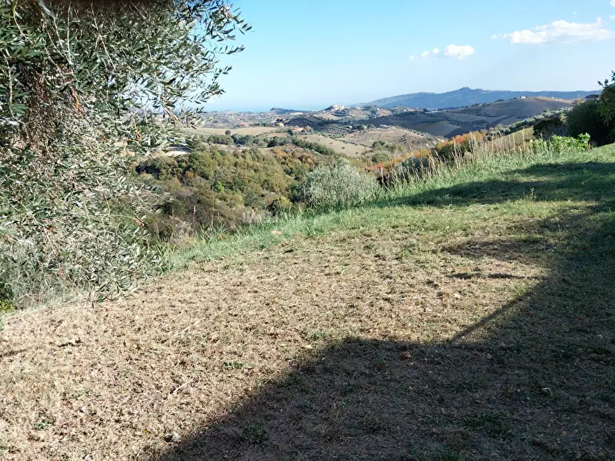 Immagine 51 di Casa indipendente in vendita  in Contrada rocchetta snc a Castorano